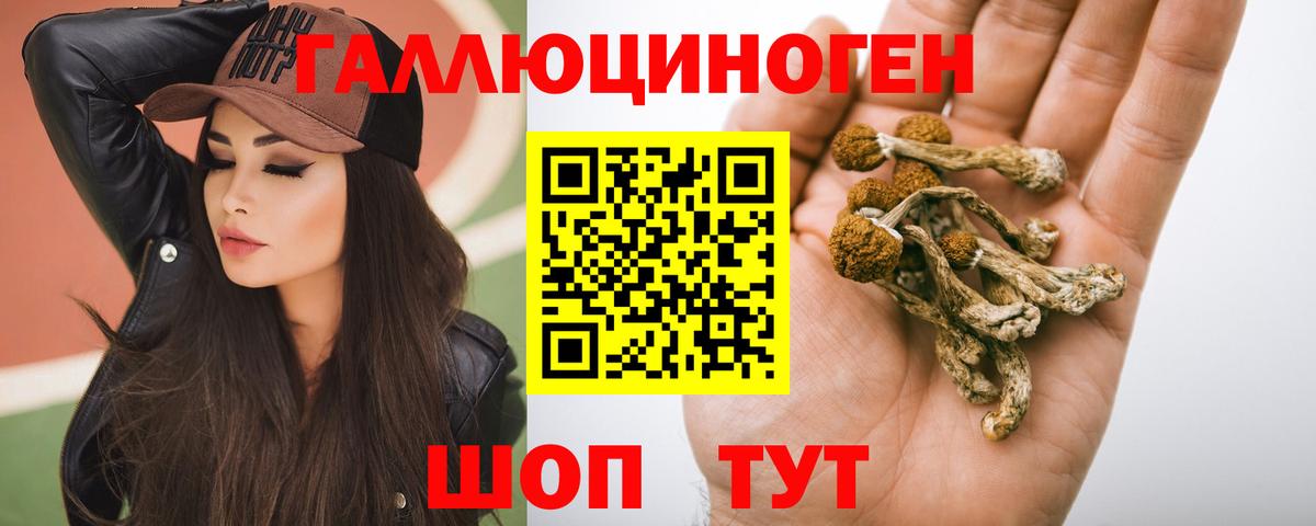 Галлюциногенные грибы Psilocybe  Вход с VPN  Каспийск  Галлюциногенные грибы мицелий 