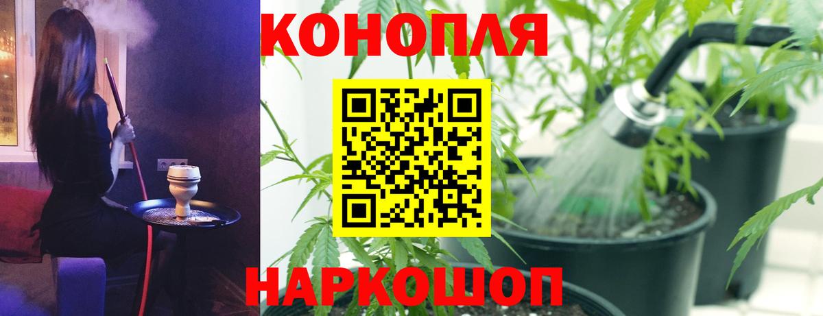Бошки Шишки SATIVA & INDICA Каспийск